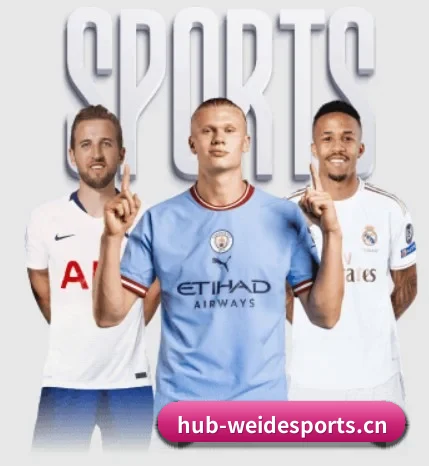 我们在做什么 - 长期内容价值积累 - WEIDE SPORTS